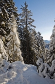 11_Un po' di neve cade